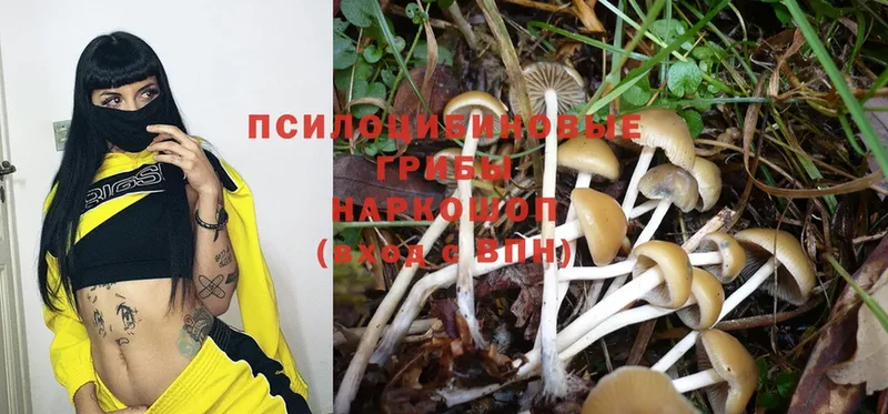 Галлюциногенные грибы MAGIC MUSHROOMS  Северодвинск 